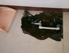 关岭卫生间测漏水多少钱